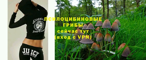 экстази Богородицк