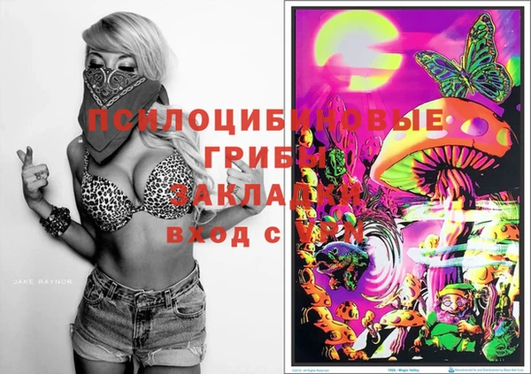 соль ск Белокуриха