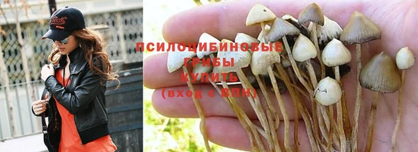 гашишное масло Богданович