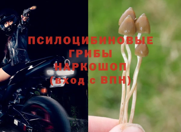 винт Богородск