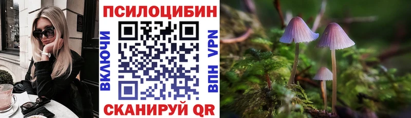 Псилоцибиновые грибы Cubensis  Дмитровск 
